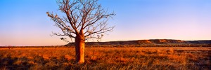 Adam Monk is a West Australian Landscape photographer